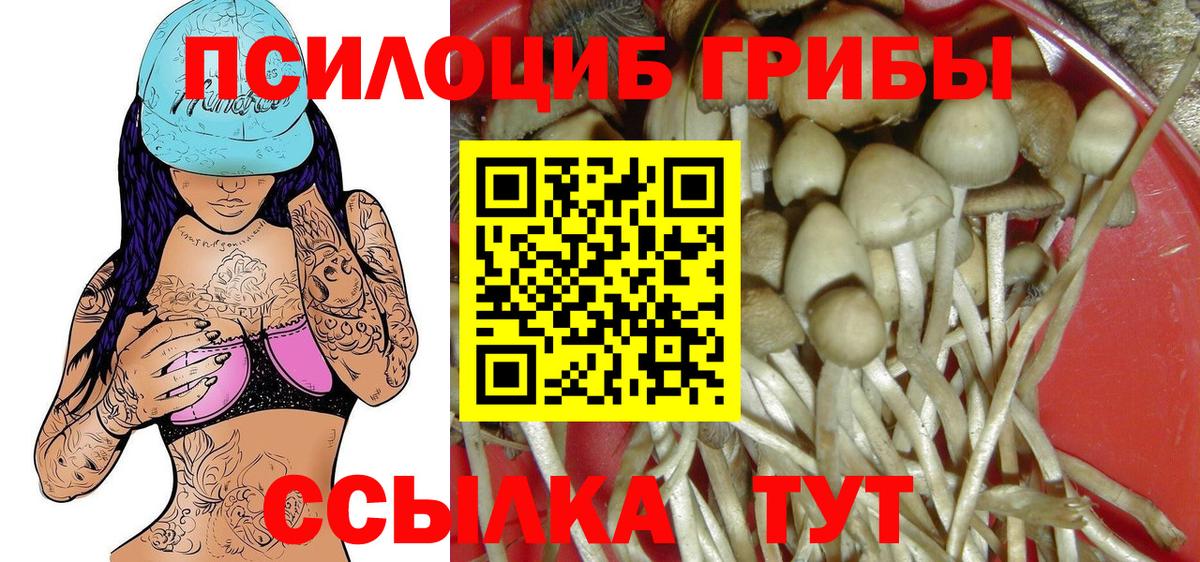 Тайшет  Галлюциногенные грибы MAGIC MUSHROOMS  Вход с VPN  Псилоцибиновые грибы Magic Shrooms 